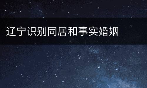辽宁识别同居和事实婚姻