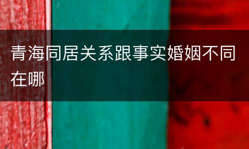 青海同居关系跟事实婚姻不同在哪