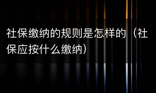 社保缴纳的规则是怎样的（社保应按什么缴纳）