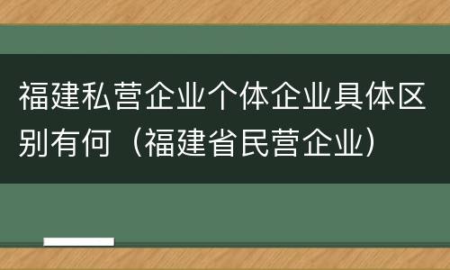 福建私营企业个体企业具体区别有何（福建省民营企业）
