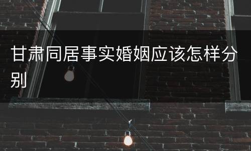 甘肃同居事实婚姻应该怎样分别