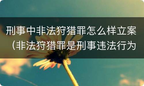 刑事中非法狩猎罪怎么样立案（非法狩猎罪是刑事违法行为吗）