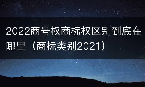 2022商号权商标权区别到底在哪里（商标类别2021）