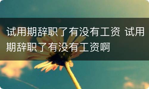 试用期辞职了有没有工资 试用期辞职了有没有工资啊