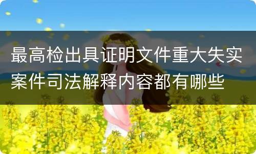 最高检出具证明文件重大失实案件司法解释内容都有哪些