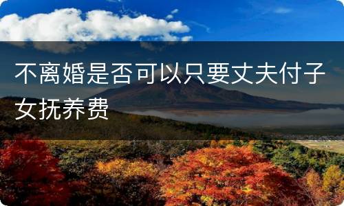 不离婚是否可以只要丈夫付子女抚养费