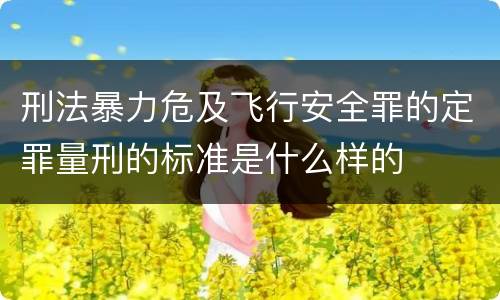 刑法暴力危及飞行安全罪的定罪量刑的标准是什么样的