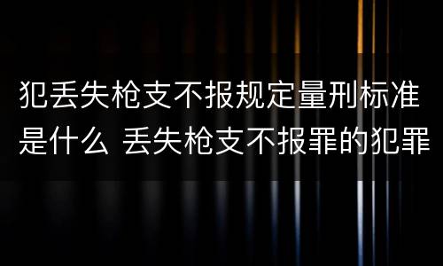 犯丢失枪支不报规定量刑标准是什么 丢失枪支不报罪的犯罪主体只能是什么