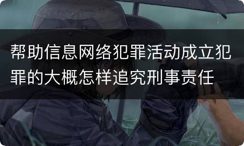 帮助信息网络犯罪活动成立犯罪的大概怎样追究刑事责任
