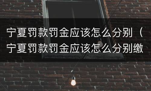 宁夏罚款罚金应该怎么分别（宁夏罚款罚金应该怎么分别缴纳）