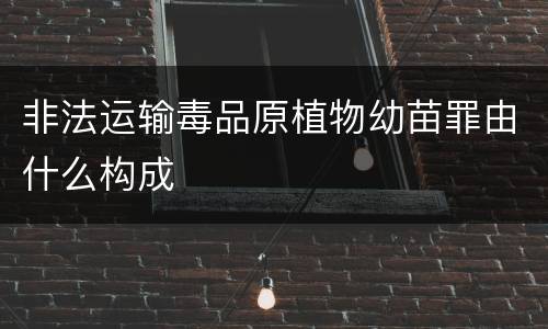 非法运输毒品原植物幼苗罪由什么构成
