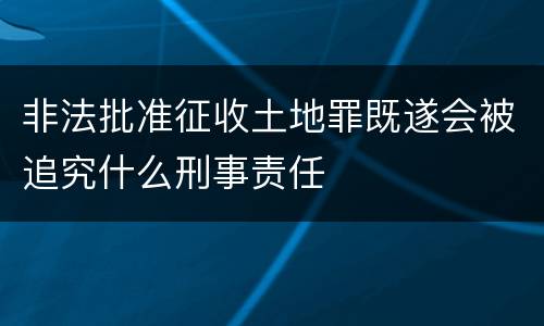 非法批准征收土地罪既遂会被追究什么刑事责任