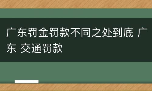 广东罚金罚款不同之处到底 广东 交通罚款