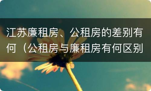 江苏廉租房、公租房的差别有何（公租房与廉租房有何区别）