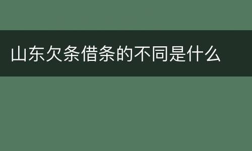 山东欠条借条的不同是什么