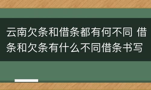 云南欠条和借条都有何不同 借条和欠条有什么不同借条书写