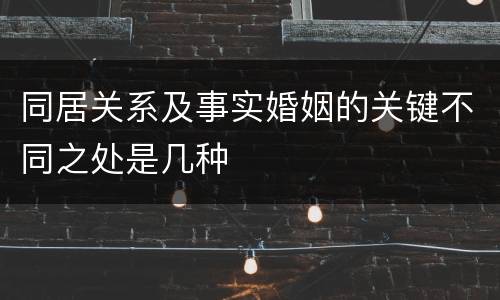 同居关系及事实婚姻的关键不同之处是几种