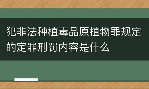 犯非法种植毒品原植物罪规定的定罪刑罚内容是什么