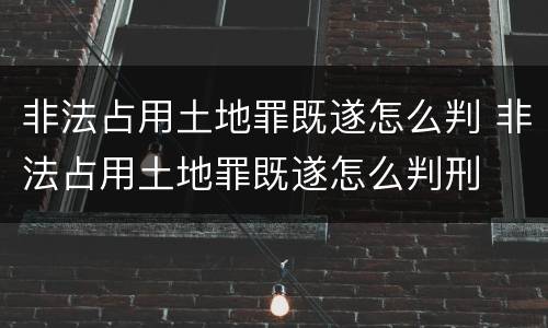 非法占用土地罪既遂怎么判 非法占用土地罪既遂怎么判刑