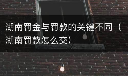 湖南罚金与罚款的关键不同（湖南罚款怎么交）