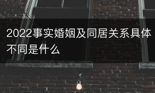 2022事实婚姻及同居关系具体不同是什么
