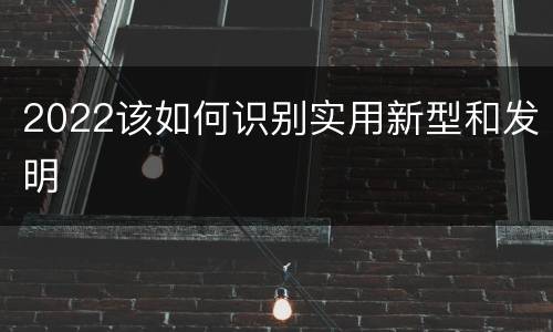 2022该如何识别实用新型和发明