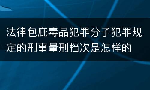 法律包庇毒品犯罪分子犯罪规定的刑事量刑档次是怎样的