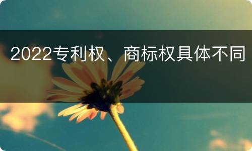 2022专利权、商标权具体不同
