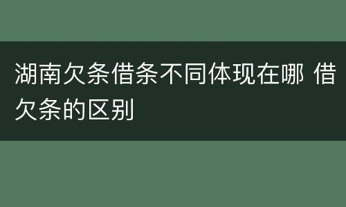 湖南欠条借条不同体现在哪 借欠条的区别