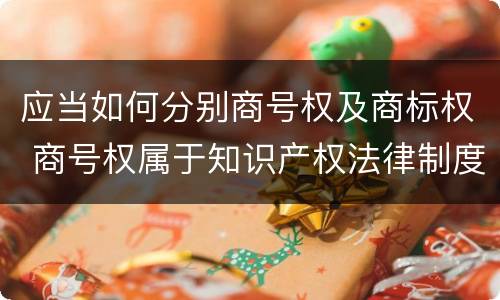 应当如何分别商号权及商标权 商号权属于知识产权法律制度的是