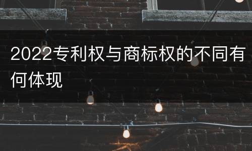 2022专利权与商标权的不同有何体现