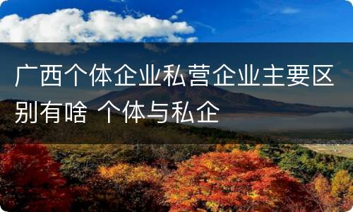 广西个体企业私营企业主要区别有啥 个体与私企