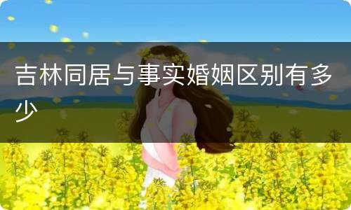 吉林同居与事实婚姻区别有多少