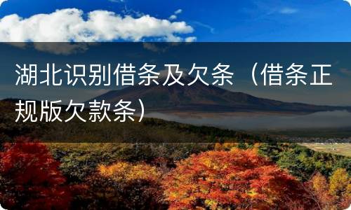 湖北识别借条及欠条（借条正规版欠款条）