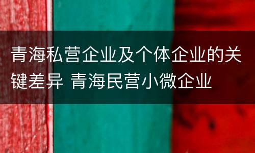 青海私营企业及个体企业的关键差异 青海民营小微企业