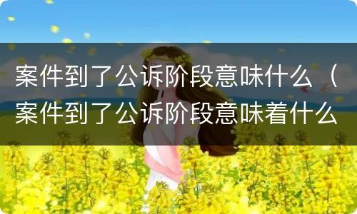 案件到了公诉阶段意味什么（案件到了公诉阶段意味着什么）