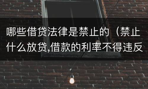 哪些借贷法律是禁止的（禁止什么放贷,借款的利率不得违反国家）