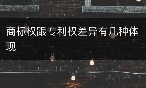 商标权跟专利权差异有几种体现