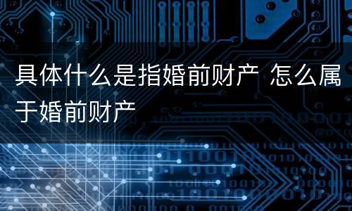 具体什么是指婚前财产 怎么属于婚前财产
