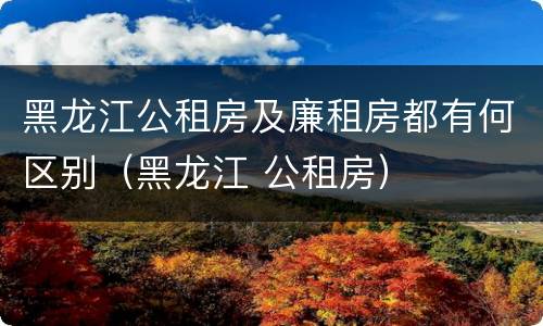 黑龙江公租房及廉租房都有何区别（黑龙江 公租房）