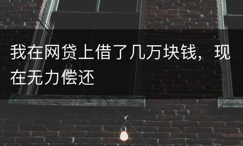 我在网贷上借了几万块钱，现在无力偿还