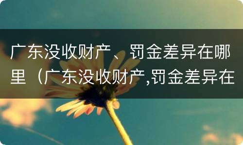 广东没收财产、罚金差异在哪里（广东没收财产,罚金差异在哪里缴纳）