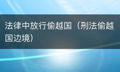 法律中放行偷越国（刑法偷越国边境）