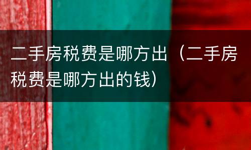 二手房税费是哪方出（二手房税费是哪方出的钱）