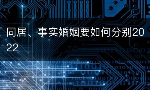 同居、事实婚姻要如何分别2022