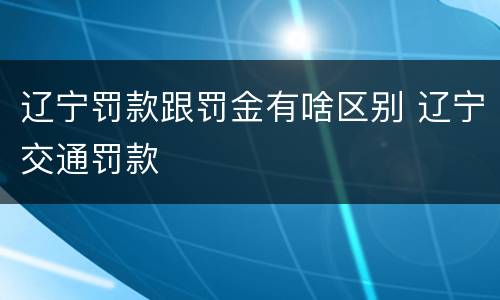 辽宁罚款跟罚金有啥区别 辽宁交通罚款