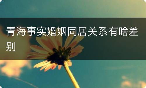 青海事实婚姻同居关系有啥差别