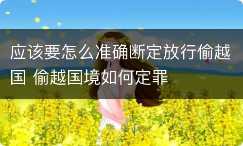 应该要怎么准确断定放行偷越国 偷越国境如何定罪