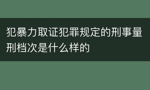 犯暴力取证犯罪规定的刑事量刑档次是什么样的