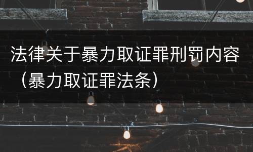 法律关于暴力取证罪刑罚内容（暴力取证罪法条）